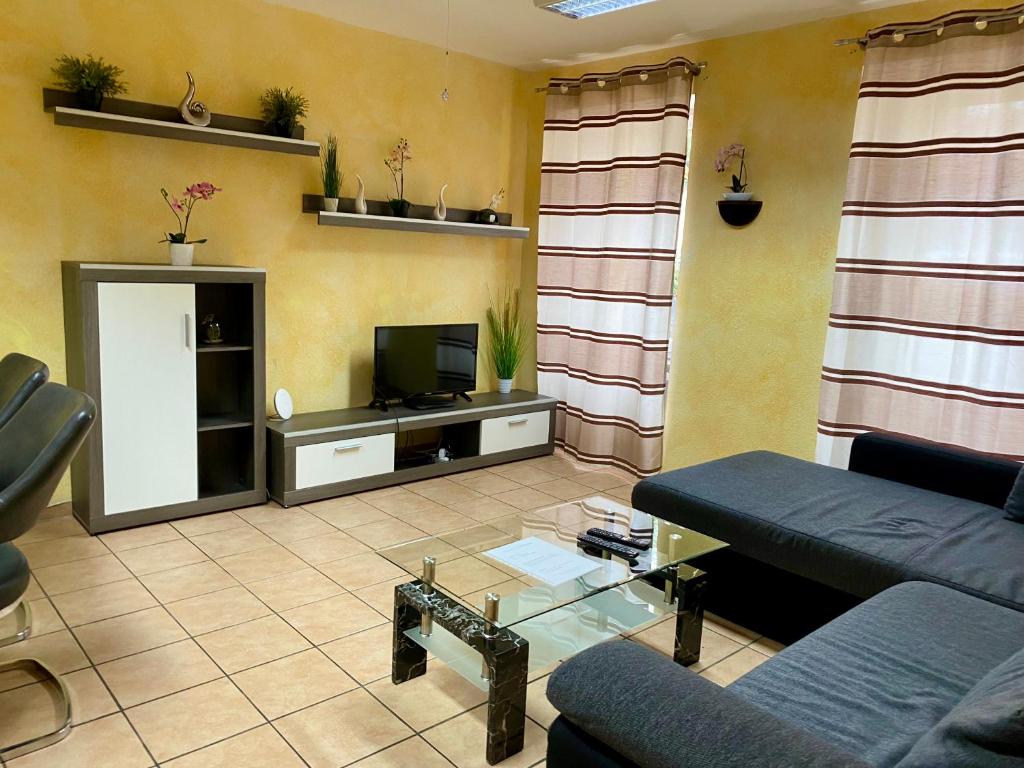 een woonkamer met een bank en een tv bij Apartments Rhona I und II Neunkirchen City in Neunkirchen