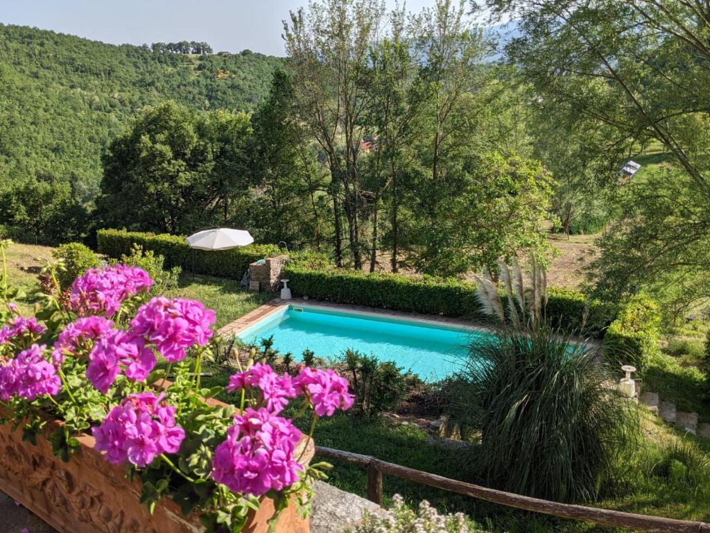 a swimming pool in a garden with purple flowers at Agriturismo Casentino - Fattoria Ventrina in Bibbiena