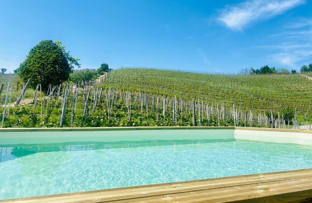 uma piscina em frente a uma vinha em Madama Langa Country House con piscina nelle vigne em Montelupo Albese