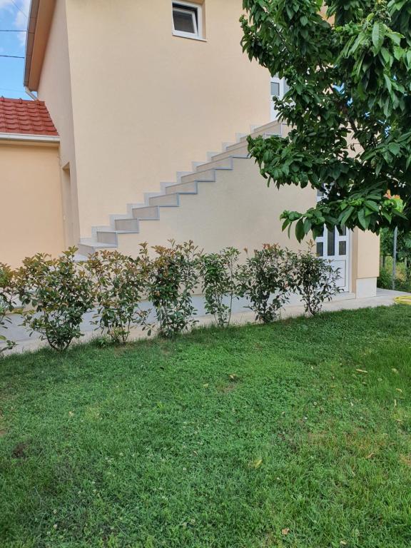 Apartman Tolosi 2 - 17