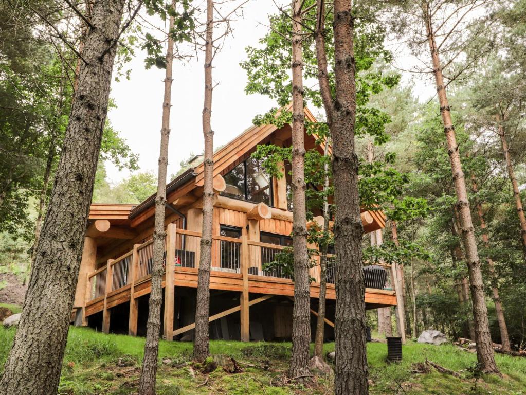 a log cabin in the woods with trees at Pine Marten Lodge in Grantown on Spey
