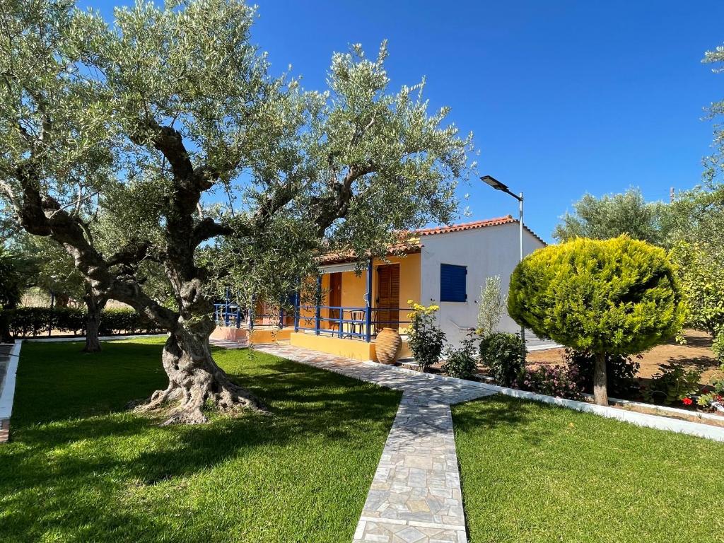 un jardin avec un arbre et une maison dans l'établissement John & Jenny's Small Village, à Áyios Andréas Messinias