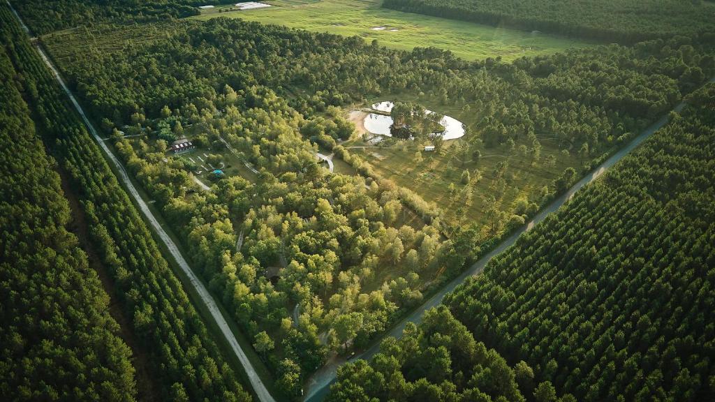 an aerial view of a forest with a house at Natur'O Médoc in Naujac-sur-Mer