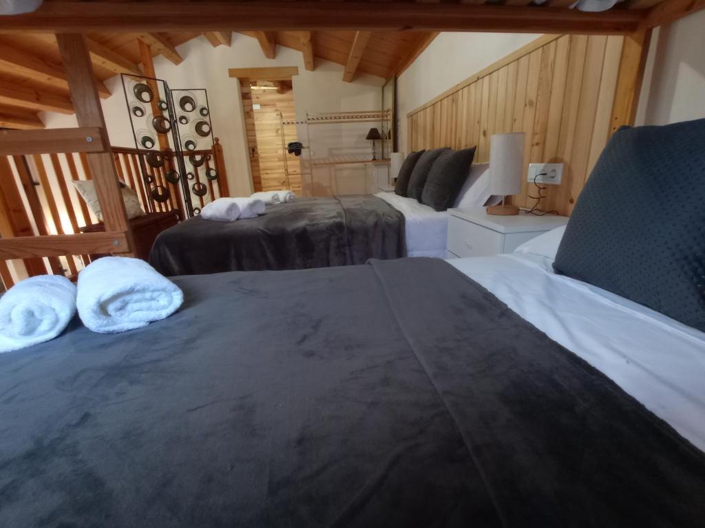 トレンプにあるHort de la Fontのベッド2台 木製の壁の部屋
