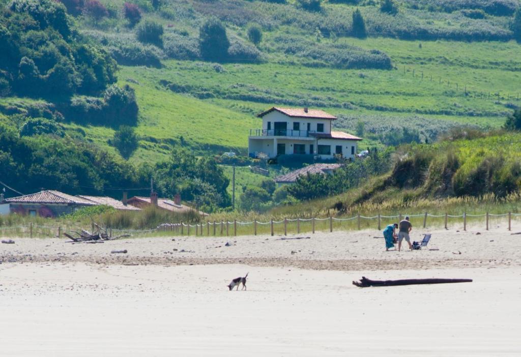 eine Gruppe von Menschen und ein Hund am Strand in der Unterkunft Casa Paloma in La Vega