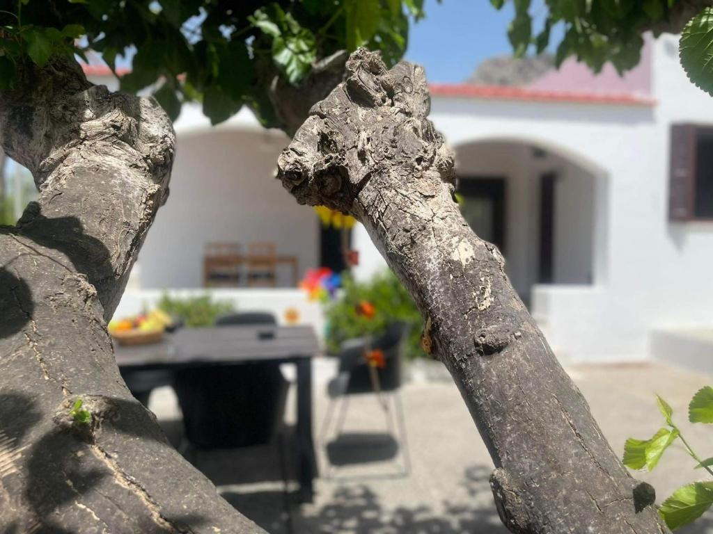 Fotografia z galérie ubytovania Aegean Endless Summer Villa Pefkos v destinácii Pefkos