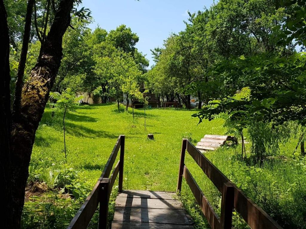 Zahrada ubytování Cazare La Oana