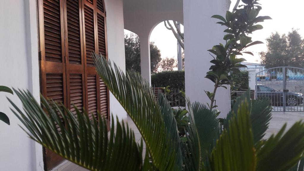Zahrada ubytování Dimora il Cereus