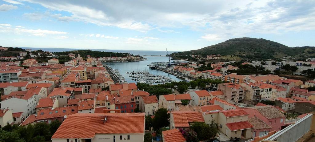 een uitzicht op een stad met een haven en gebouwen bij Soleil, Vue & Confort à Tara in Port-Vendres