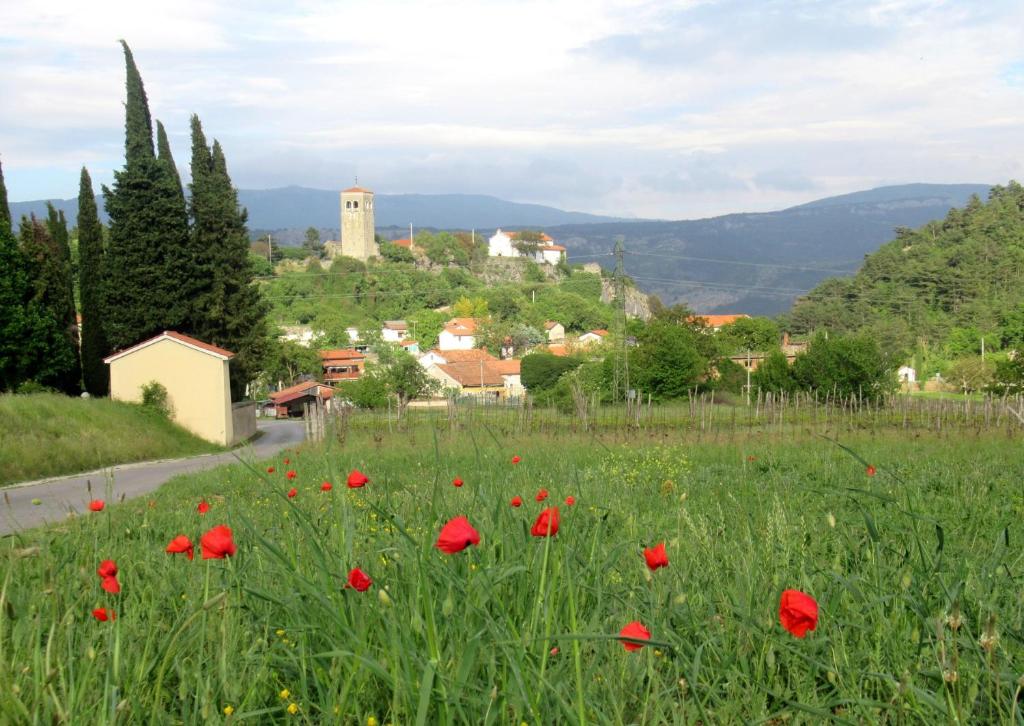 a field of red poppies in front of a village at Apartma Qbed in Gračišče