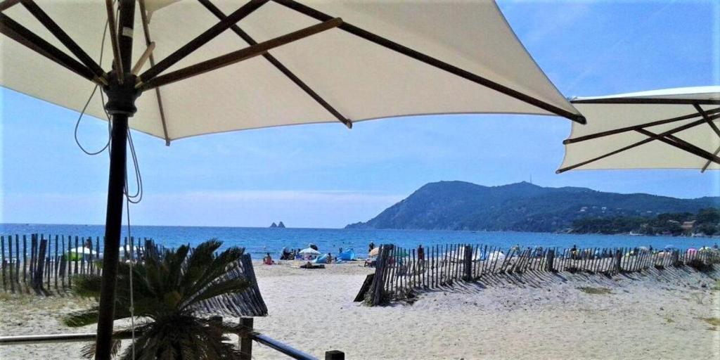 a beach with a row of umbrellas and the ocean at Studio le Monroe les pieds dans l'eau 10 m de la mer in La Seyne-sur-Mer