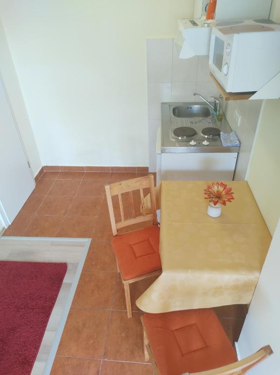 Kuchyňa alebo kuchynka v ubytovaní Guesthouse Anna