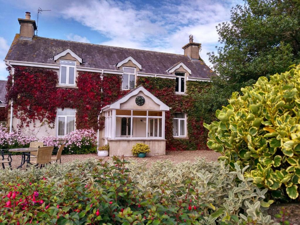 a house covered in ivy with a garden at Glen Gable in Fethard on Sea