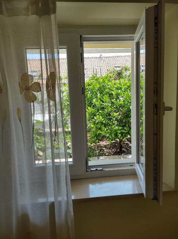 Vonkajšia záhrada v ubytovaní Guesthouse Anna