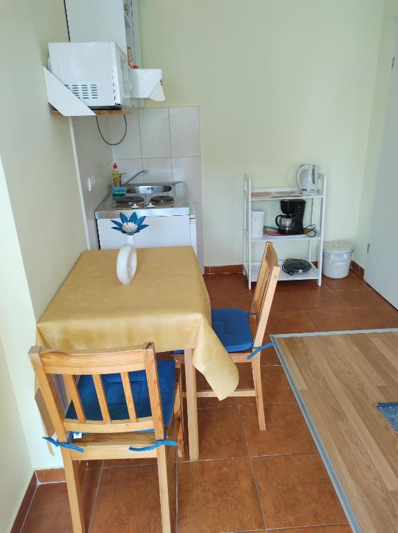 Kuchyňa alebo kuchynka v ubytovaní Guesthouse Anna