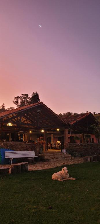 a dog laying on the grass in front of a building at Fazenda Serra que Chora - Pousada e Restaurante in Itanhandu