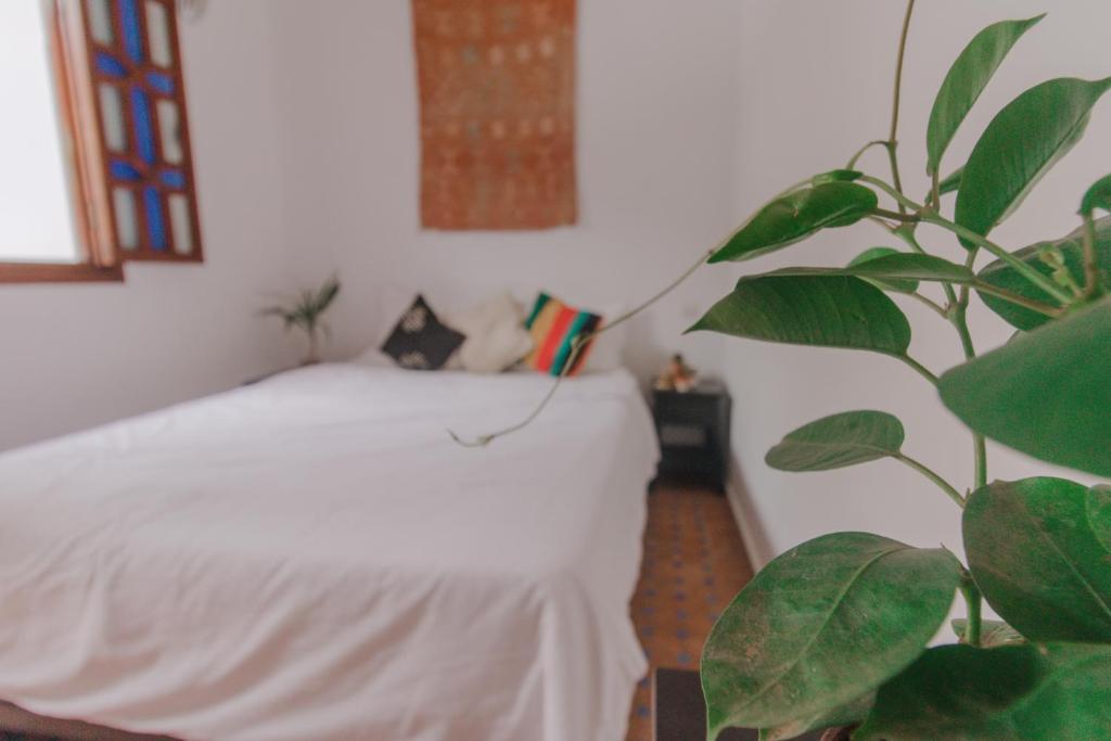 Postel nebo postele na pokoji v ubytování Noqta Space Coworking Coliving Space