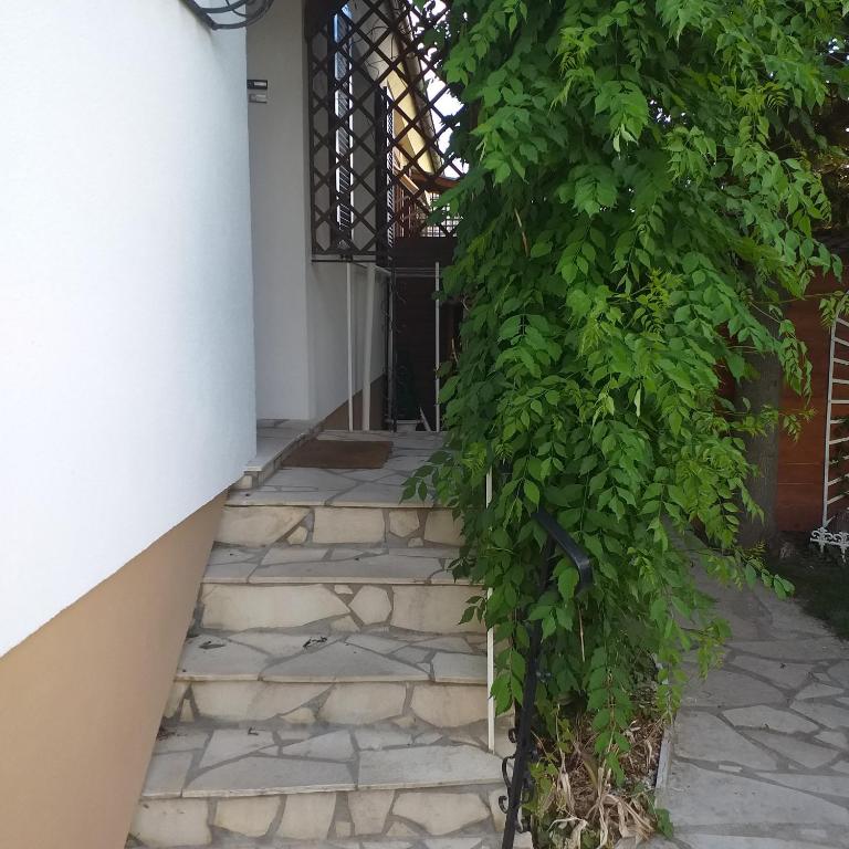 Studio Colmar avec jardin privatif – photo 14