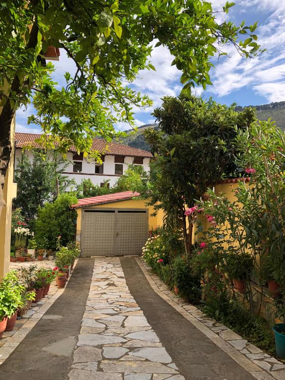 Villa Garden - Image 5