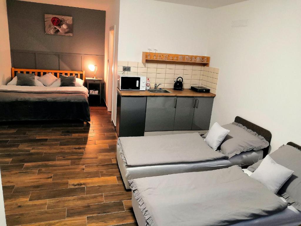 Kuchyň nebo kuchyňský kout v ubytování Apartmány RŮŽIČKA