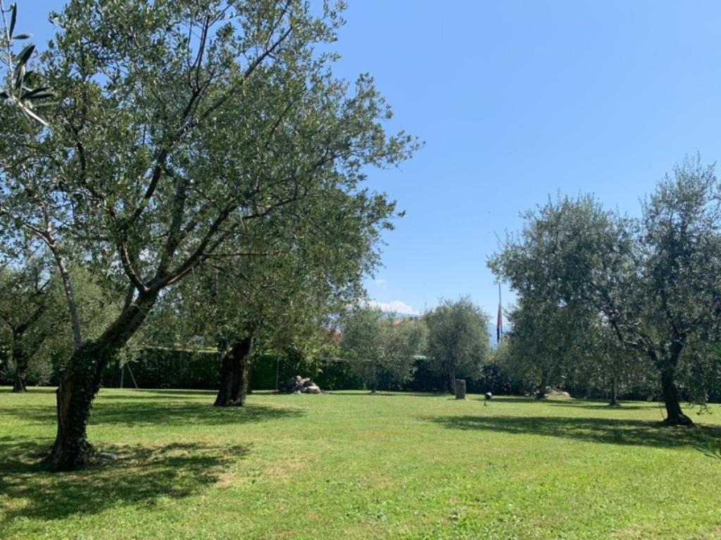 um parque com árvores num campo relvado em Casa Biancoliva em Toscolano Maderno