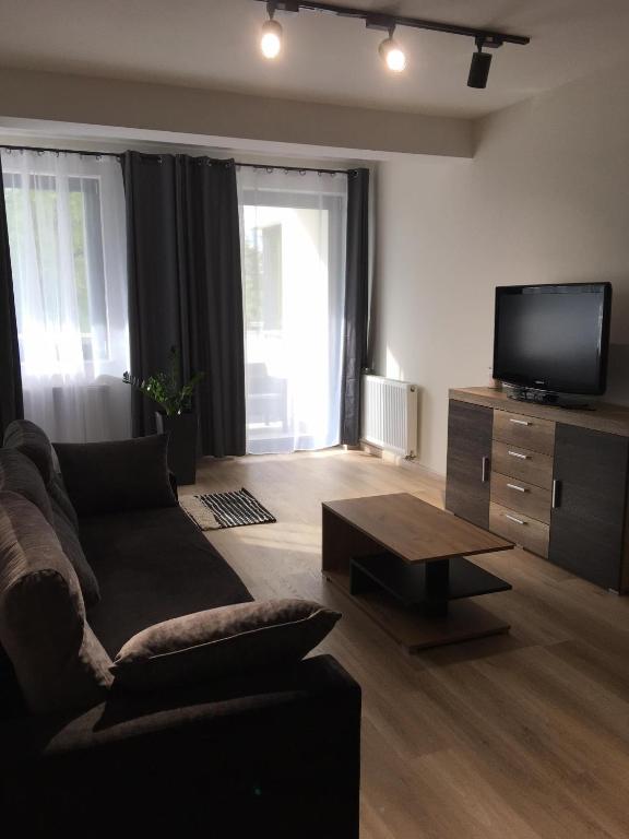 salon z kanapą i telewizorem w obiekcie Apartament na Lipskiej w mieście Zamość