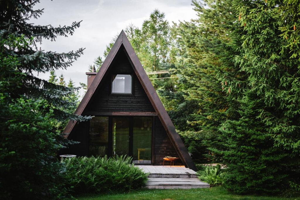 a small cabin in the woods with trees at Domek Mały Las in Rzyki