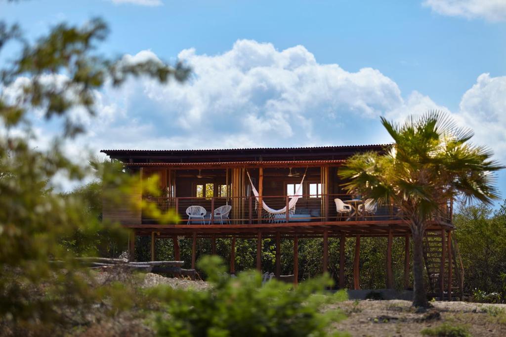 Dibulla的住宿－Corazon Guajiro Cabaña frente a Playa Solitaria en Dibulla cerca a Palomino - Cabin in front of Solitary Beachs，一座带椅子和棕榈树的木屋