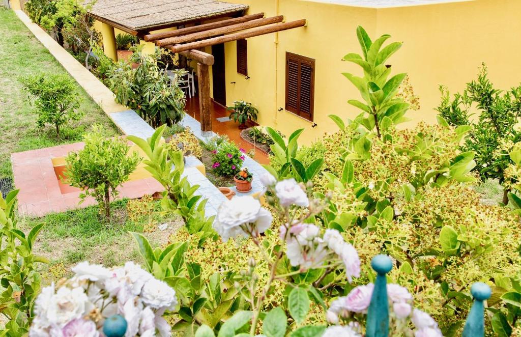 リーパリにあるIl Veliero Blu B&B Lipari Centroの家の前の花の庭園