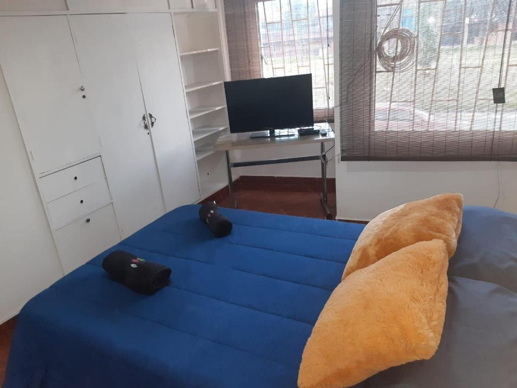 1 dormitorio con cama azul y almohada en Habitacion con baño compatido en casa de familia en Corferias, Quinta Paredes, Embajada Americana, en Bogotá