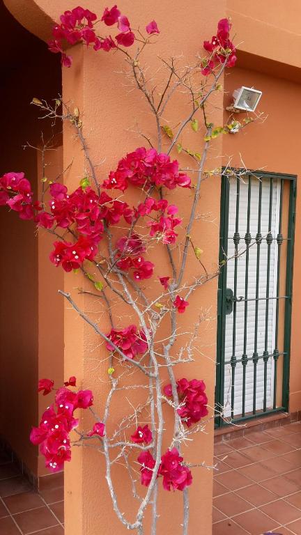 Fotografia z galérie ubytovania Spacious Ground Floor Luxury Apartment with underground parking v destinácii Castillo de Sabinillas