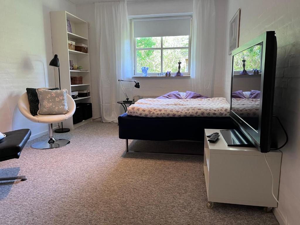 een slaapkamer met een bed, een spiegel en een stoel bij Kørestolsvenligt dbl. vær. in Nykøbing Mors