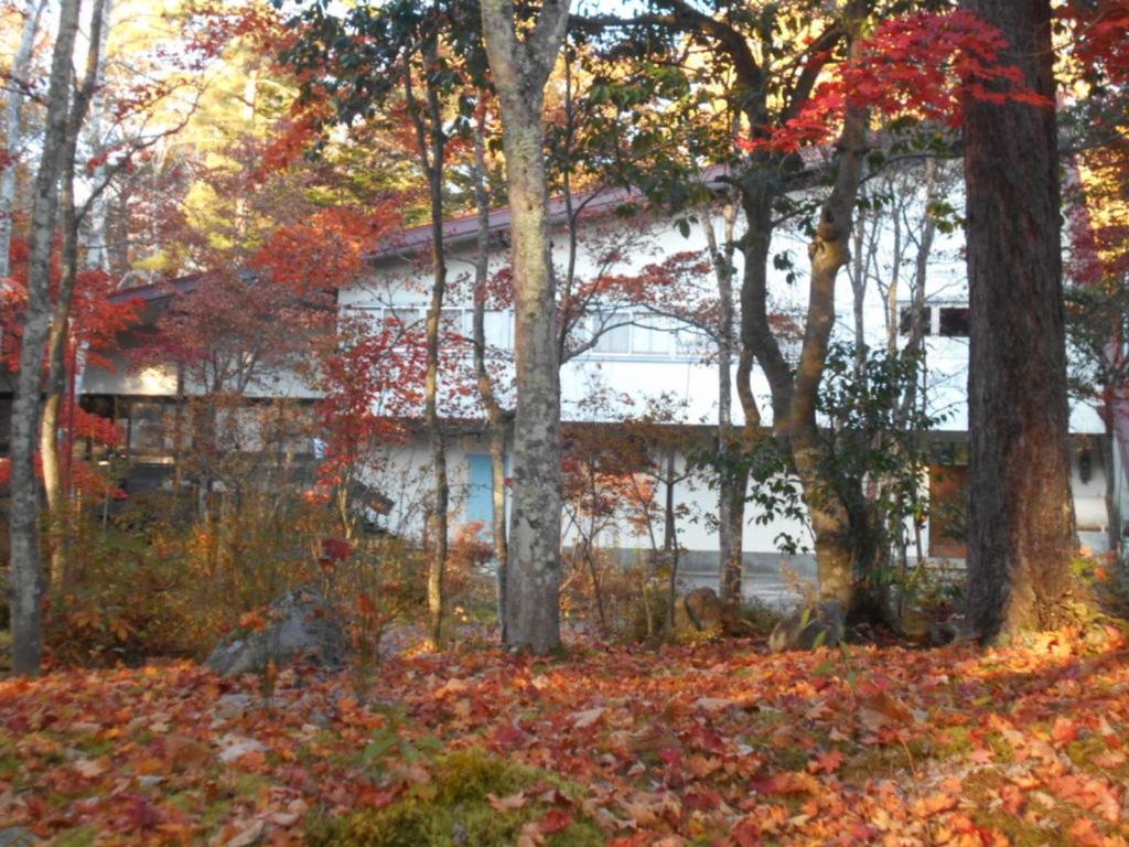 una casa en medio de un bosque de árboles en さくら山荘, en Omachi