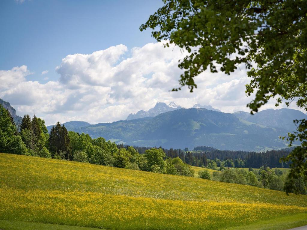 Paesaggio naturale nelle vicinanze dell'appartamento