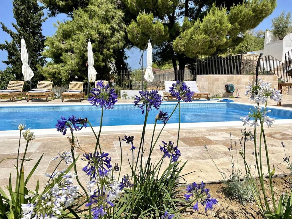 ein Pool mit lila Blumen im Vordergrund in der Unterkunft Spacious new villa with pool above the pristine beach - FIRST SEASON PRICING!!! in Prvić Šepurine