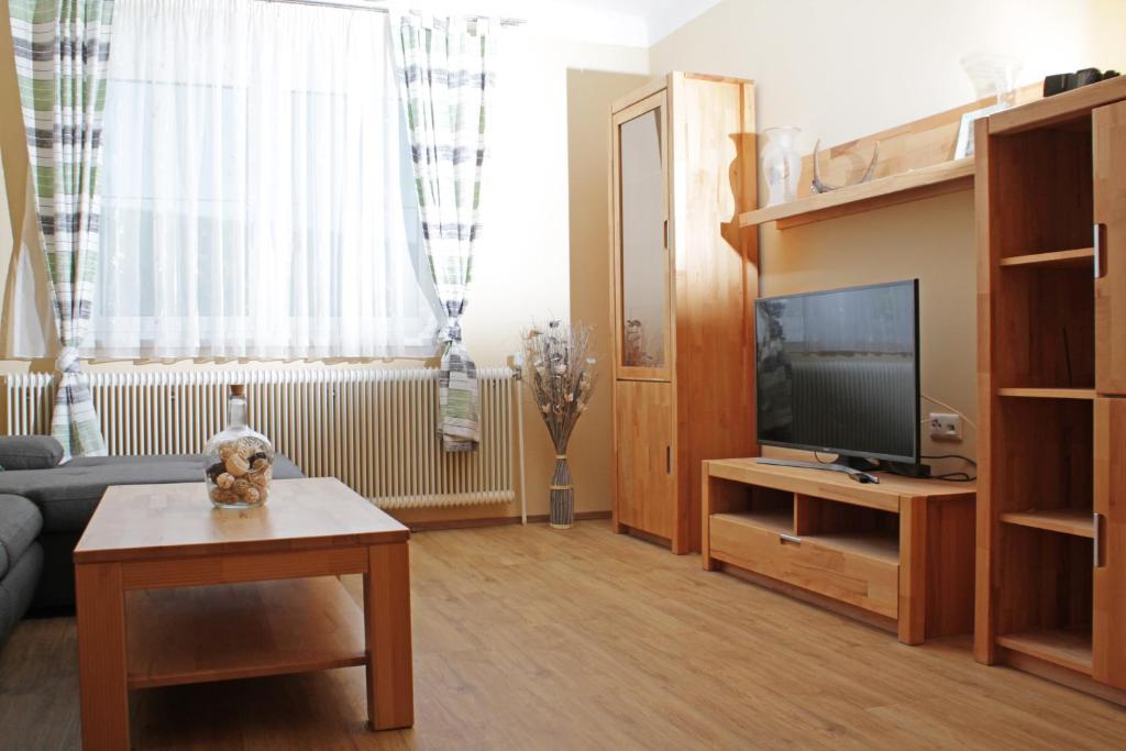 Televízia a/alebo spoločenská miestnosť v ubytovaní Waldhof Grasel