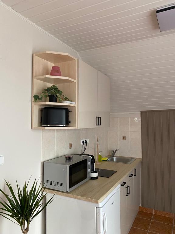 Kuchyň nebo kuchyňský kout v ubytování Silence Apartmanház Zalakaros