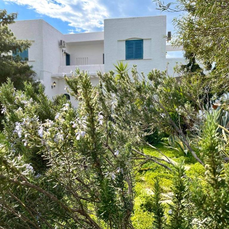 A garden outside Villa Velissarios: wonderful villa next to beach