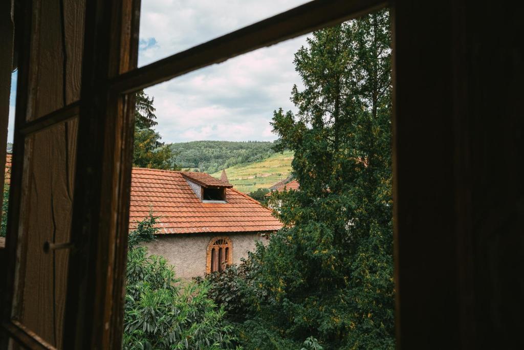 Domaine Bohème I art de vivre – photo 33