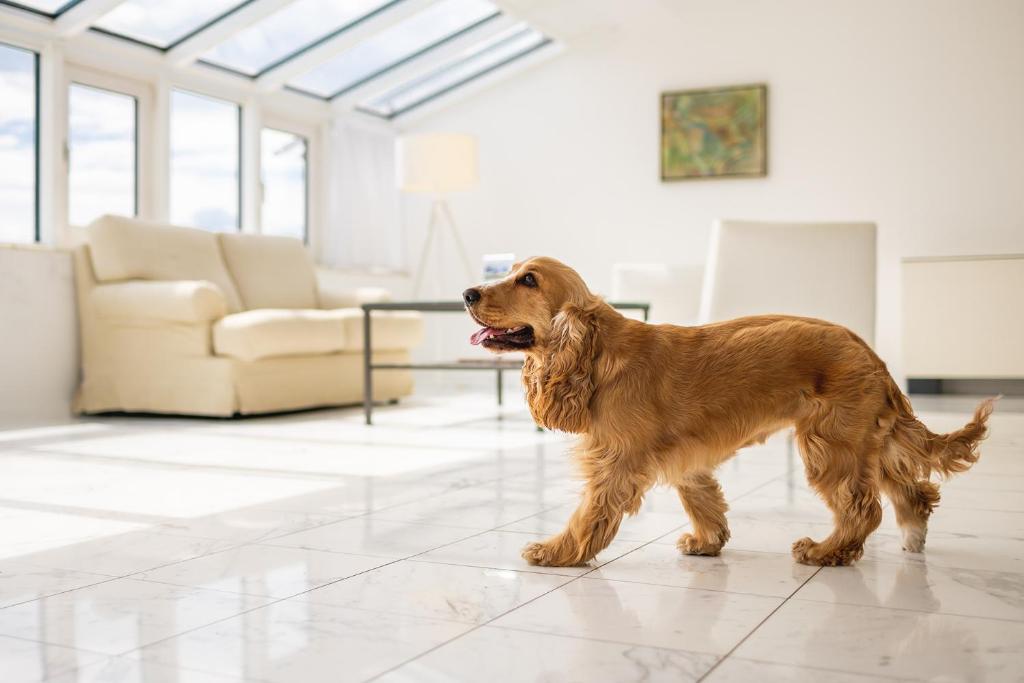 Villa Sassa - Resim 11