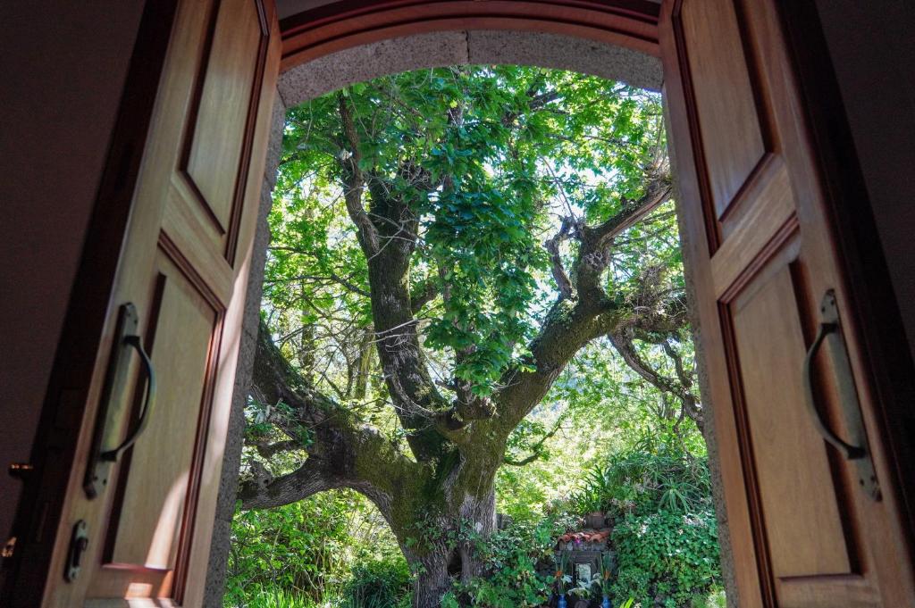 Villas el Alto في Moya: باب مفتوح مع شجرة في الخلفية