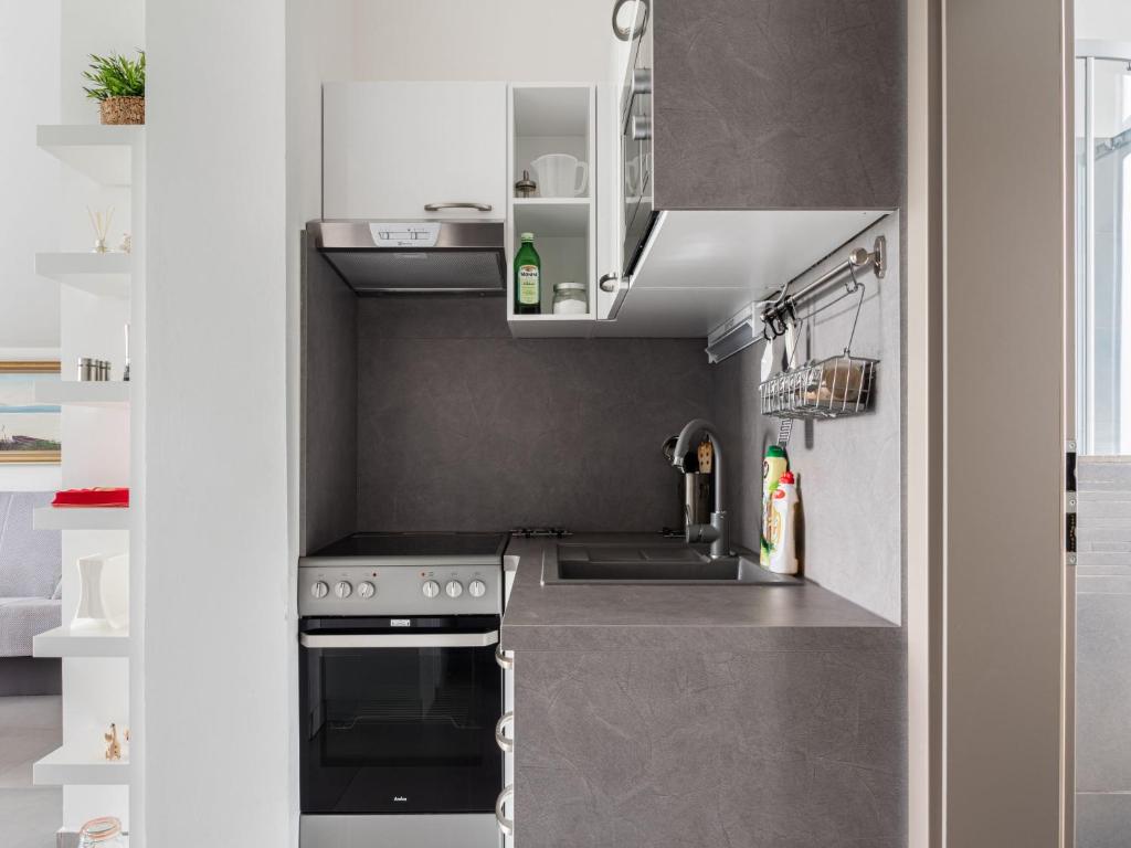 Kuchyň nebo kuchyňský kout v ubytování Apartment Lány by Interhome