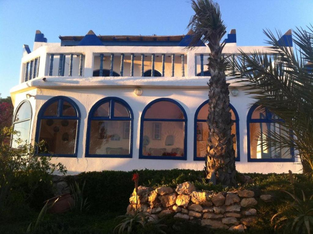 a white house with a palm tree in front of it at Room in Guest room - Room in villa Lair De La Mer in Sidi Kaouki