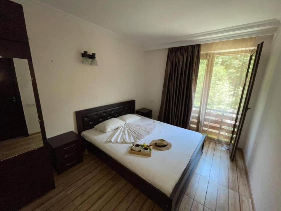 Gallery image of Apartment Sairme in Sairme