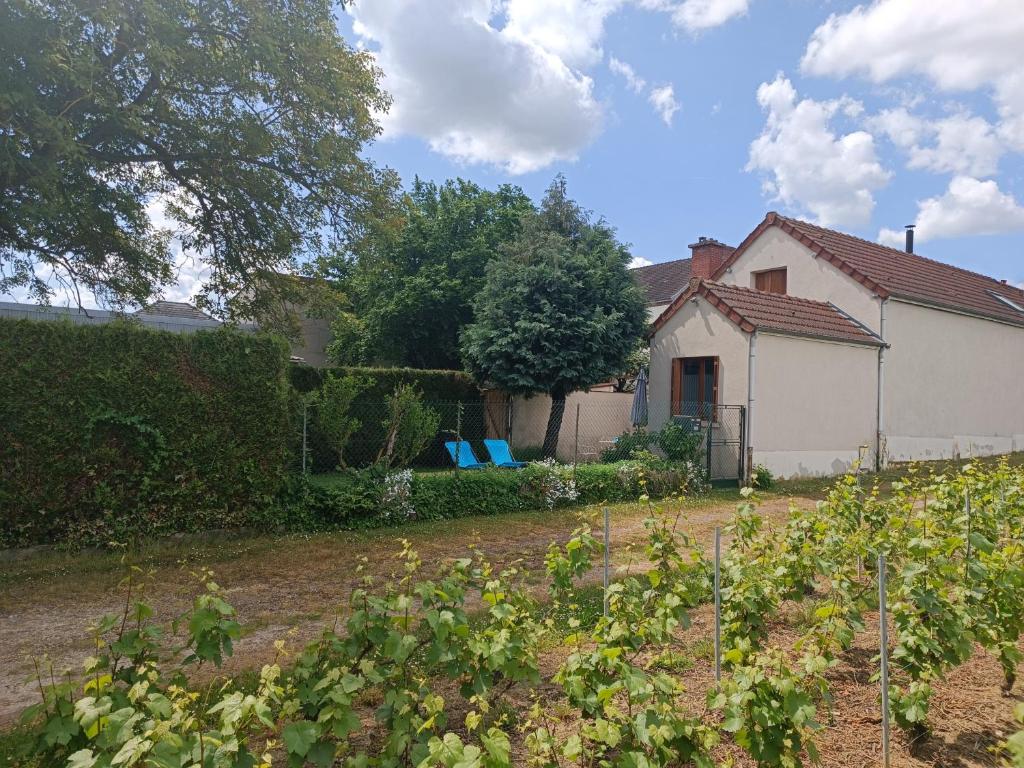 un jardín frente a una casa blanca en Gîte indépendant Diz'enreves au cœur des vignes, en Dizy