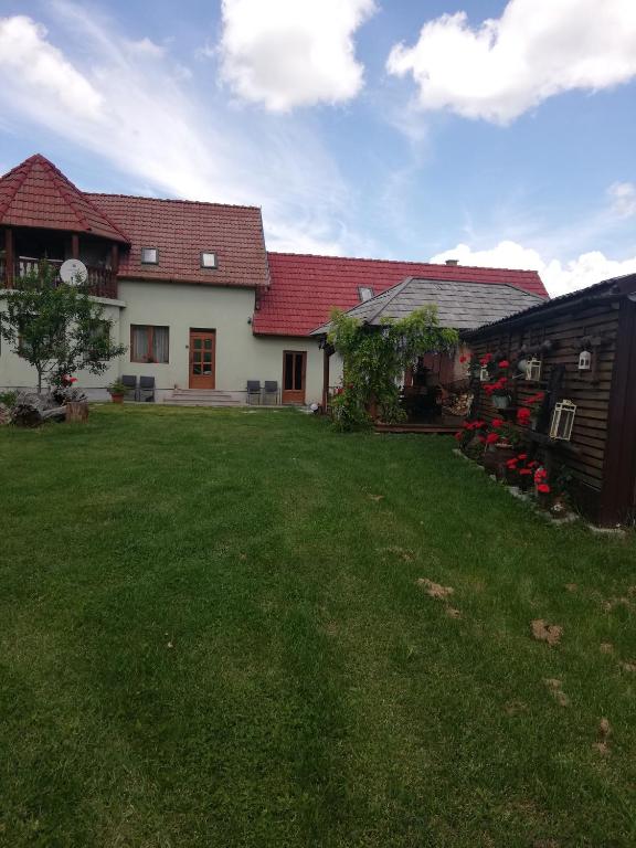 a house with a yard in front of it at Imádó Vendégház in Cernatu de Sus