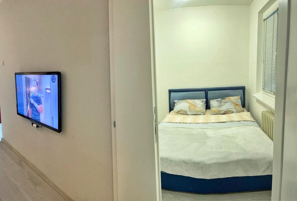 1 dormitorio con 1 cama y TV en la pared en Cosy Apartment on an amazing location! en Skopje