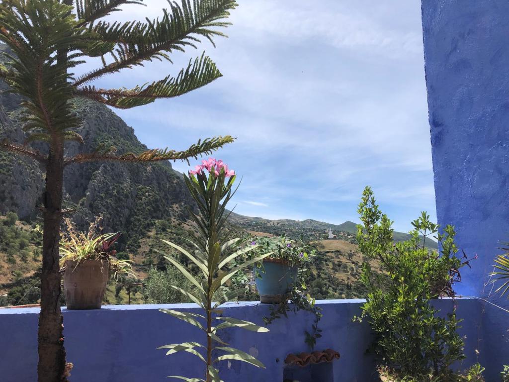 Nespecifikovaný výhled na hory nebo výhled na hory při pohledu z bed and breakfast