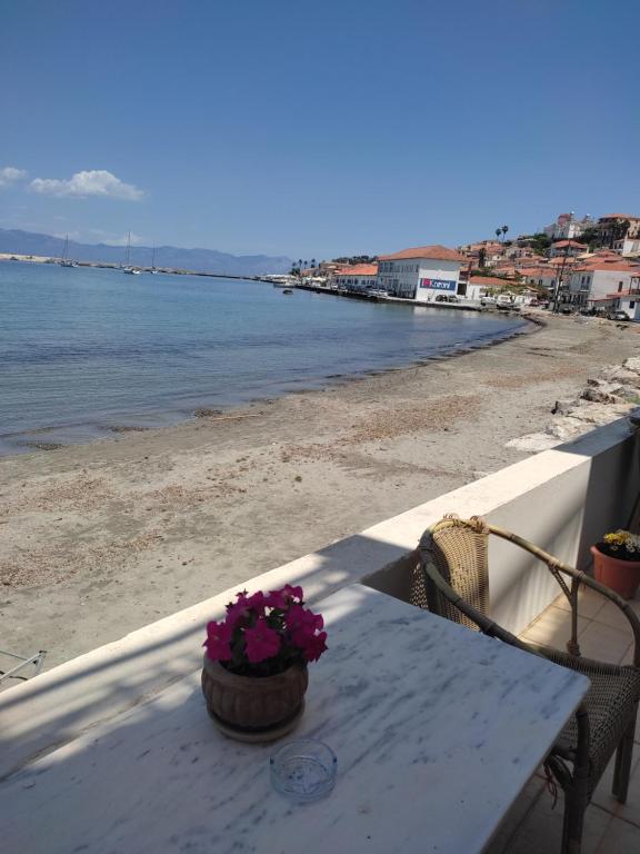Φυσικό τοπίο κοντά σε αυτό το διαμέρισμα