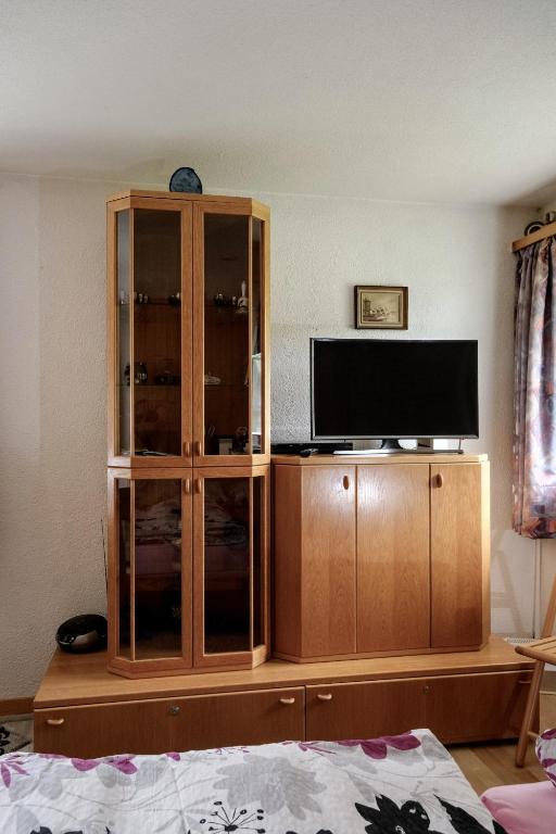 TV a/nebo společenská místnost v ubytování Schweiz ,Lenk Ferienwohnung,Kinderfreundl,Seniorenfreundlich